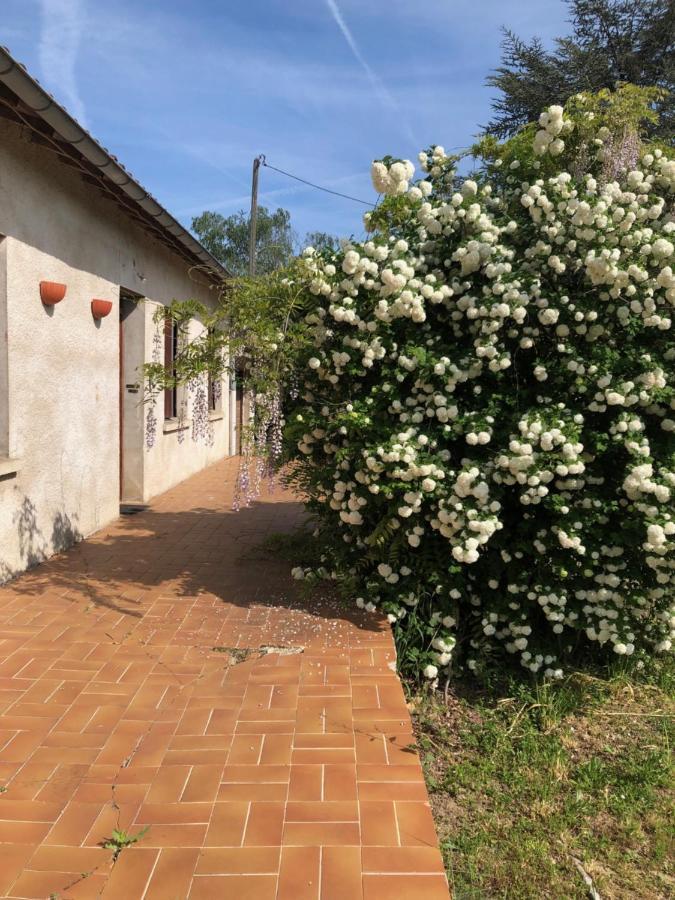 La Cabanes Senouillac Exteriér fotografie
